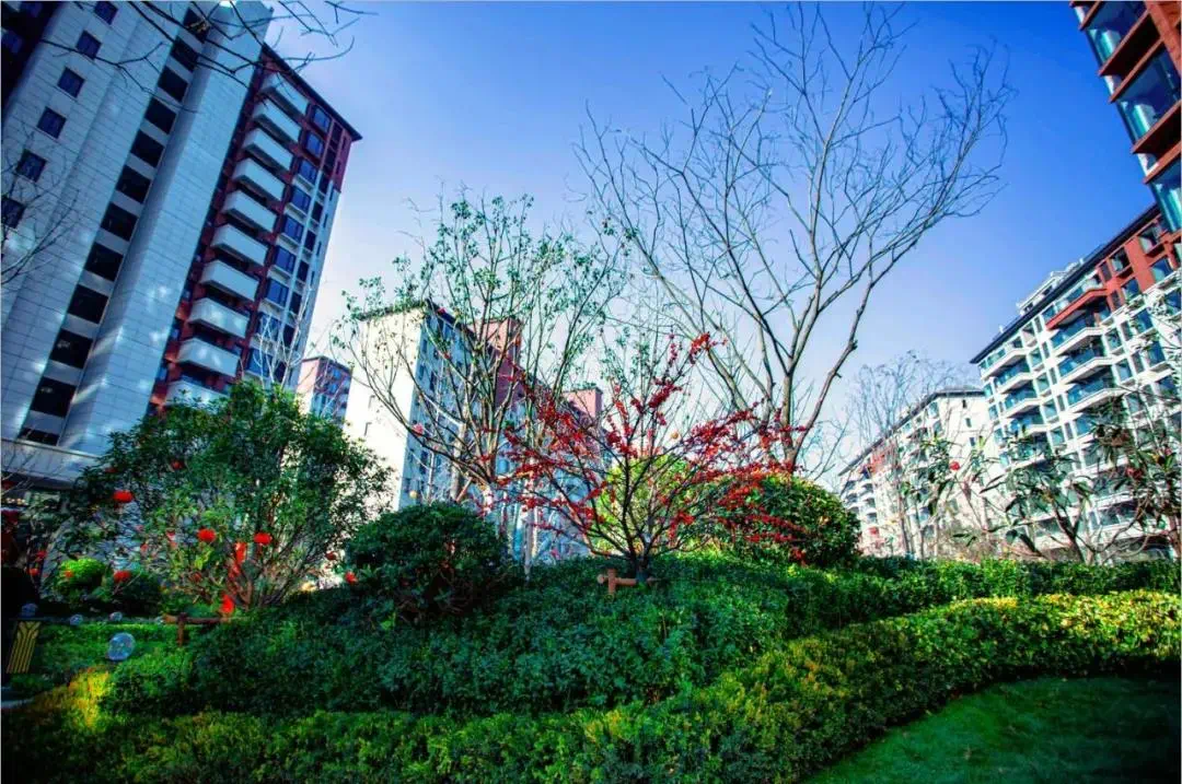 阜阳九鼎华苑，城市新地标，品质生活再升级——最新进展与未来展望