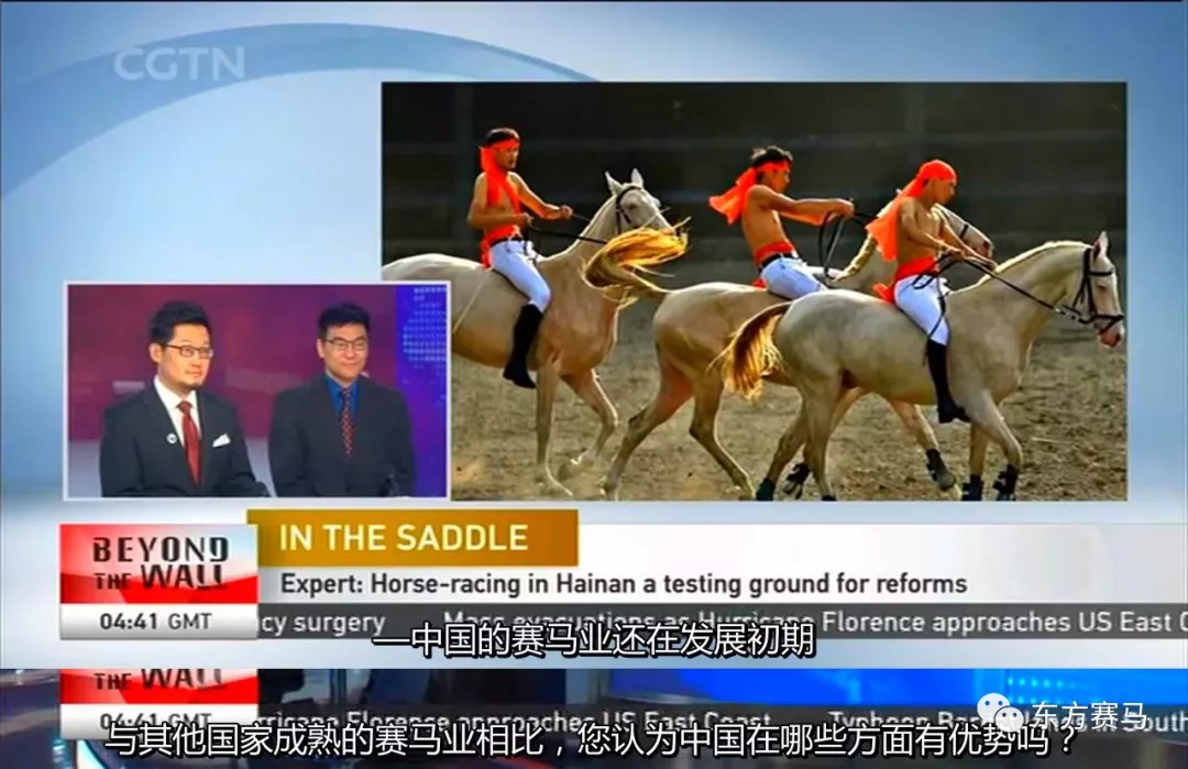 2025今晚澳门开特马开什么，精选解析， 探寻今晚澳门赛马的精彩赛事