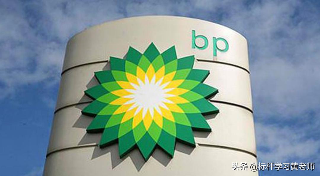 新奥资料网站2025，精选解析，迈向数字化未来的蓝图