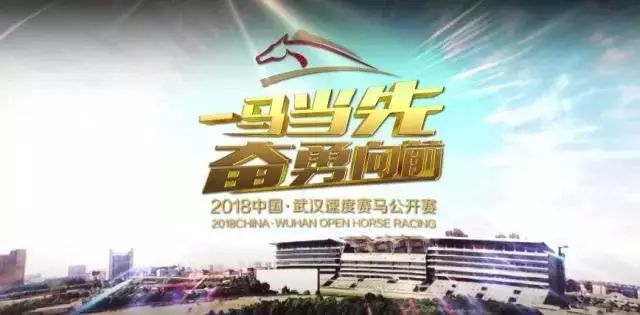 2025今晚澳门开特马开什么，精选解析， 探寻今晚澳门赛马的精彩赛事