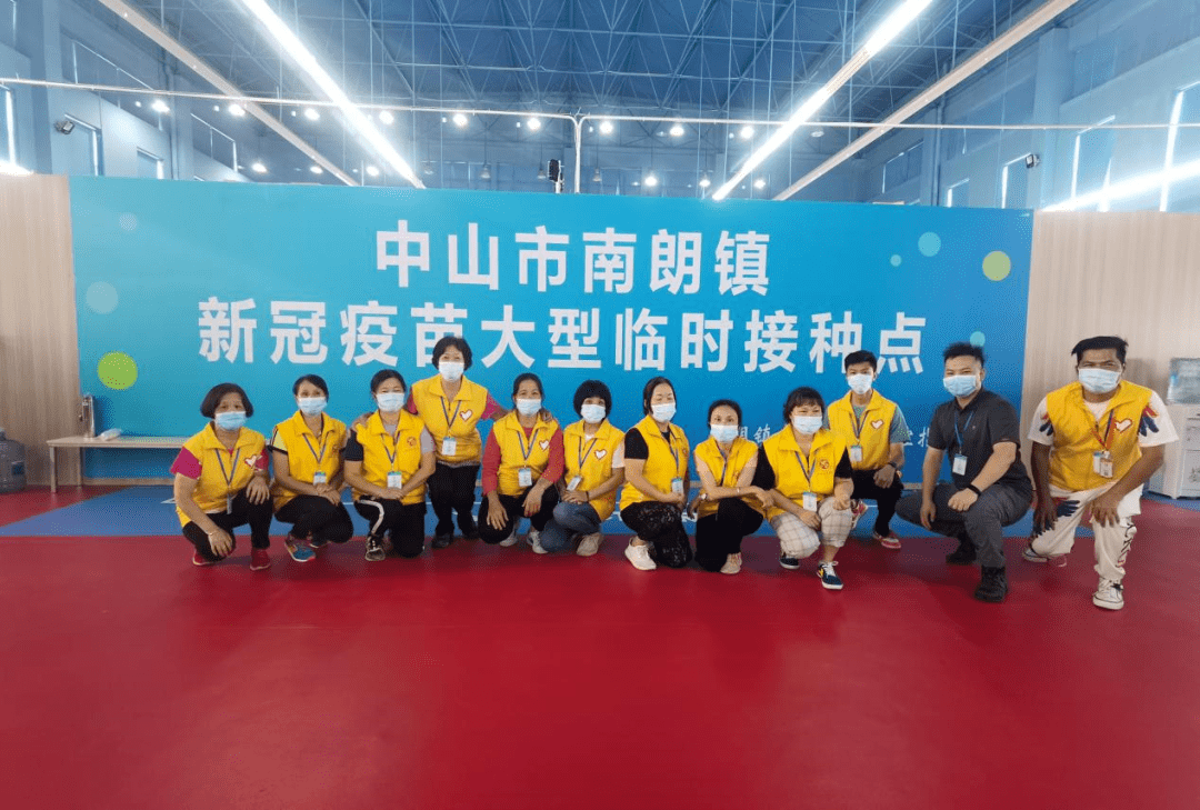 新澳2025全年最新资料大全，精选解析，全面释义解释与落实