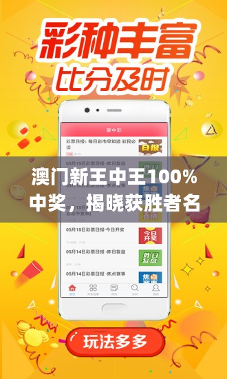 新澳门王中王100期期中，精选解析，全面释义与最佳精选策略