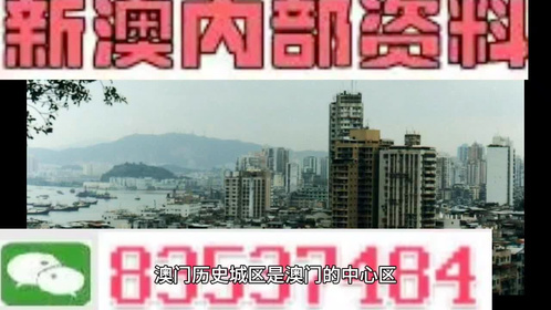 新澳精准资料免费提供，精选解析，深入释义、解释与落实(第510期)
