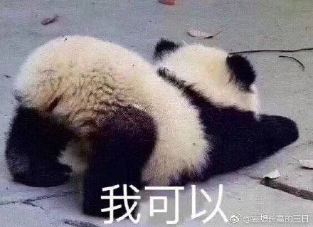 今晚四不像一肖图今晚四不像吧，精选解析，构建解答解释落实_t710.45