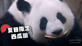 科技 第35页
