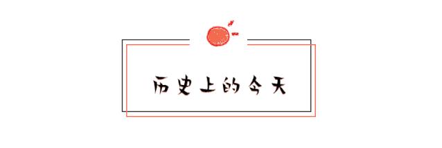 澳门一码一肖一恃一中354期，精选解析，词语释义解释落实
