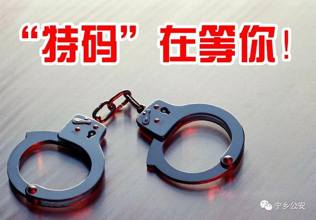今晚9点30开特马，精选解析，实用释义解释落实