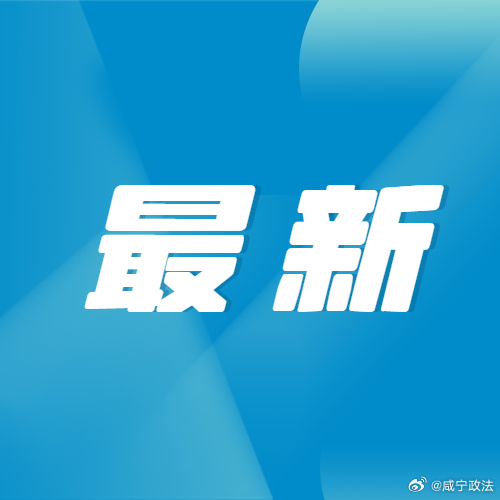 2025年新澳门天天开奖免费查询，精选解析，全面贯彻解释落实
