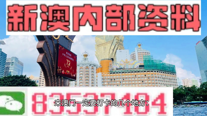 新澳今晚特马上9点30，精选解析，精选解释解析