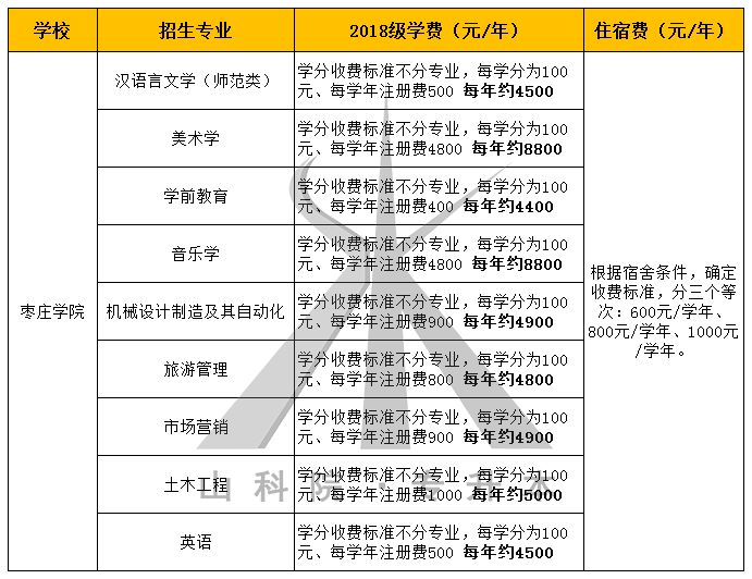 4949澳门今晚开奖，精选解析，全面贯彻解释落实
