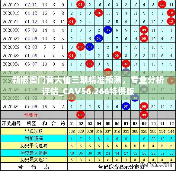 新澳门黄大仙三期必出，精选解析，精选解释解析