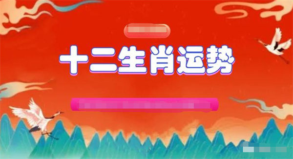 精准一肖一码一子一中，精选解析，全面释义解释落实