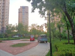 天同九龙湾最新消息